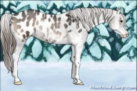Horse Color:Smoky Blue Onyx Sabino Appaloosa Rabicano 