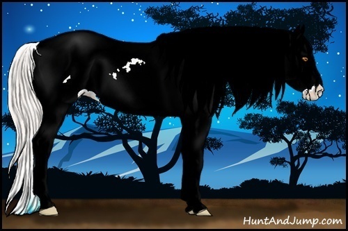 Horse Color:Silver Classic Champagne Splash Tobiano Leopard 