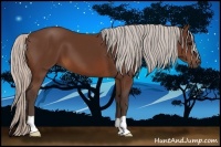 Horse Color:Silver Brown 