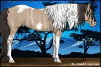 Horse Color:Classic Champagne Ice Tobiano Frame Rabicano 