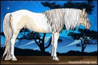 Horse Color:Silver Amber Champagne Dun Tobiano