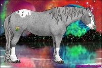 Horse Color:Black Ice Sabino Splash Varnish 