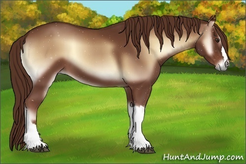 Horse Color:Red Onyx 