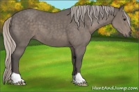 Horse Color:Silver Black 