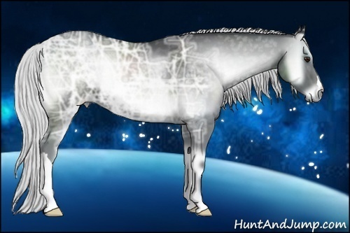 Horse Color:Silver Blue Onyx Chinchilla Ice