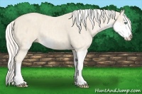 Horse Color:Cremello Sabino Brindle