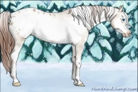 Horse Color:White Spotted Classic Champagne Sabino Frame Appaloosa 