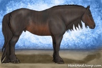 Horse Color:Brown Rabicano Brindle