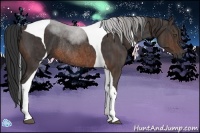 Horse Color:Brown Tobiano Rabicano  Brindle