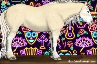 Horse Color:Gold Cream Champagne Dun Splash 