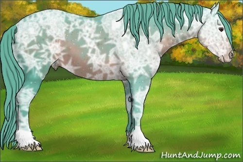 Horse Color:Watercolor Liver Chestnut Ice 