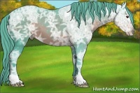 Horse Color:Watercolor Liver Chestnut Ice