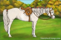 Horse Color:Perlino Sabino Brindle