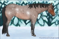 Horse Color:Bay Roan Sabino 
