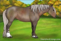 Horse Color:Silver Black Sabino 