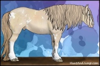 Horse Color:White Spotted Perlino 