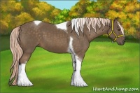 Horse Color:Chocolate Palomino Tobiano 