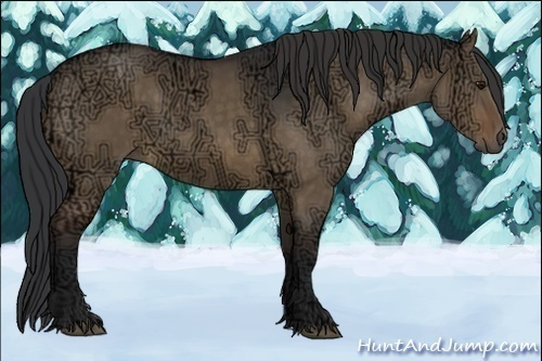 Horse Color:Brown Ice Dun 