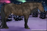 Horse Color:Brown Ice Dun 