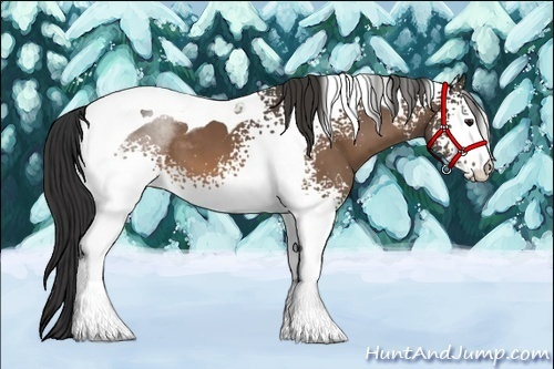 Horse Color:White Spotted Buckskin Tobiano