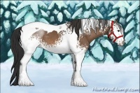 Horse Color:White Spotted Buckskin Tobiano 