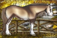 Horse Color:Liver Red Onyx Sabino 