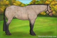 Horse Color:Bay Roan Dun