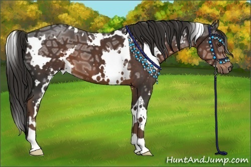 Horse Color:White Spotted Liver Chestnut Ice 