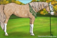 Horse Color:Palomino Ice Splash 