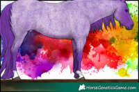 Horse Color:Watercolor Blue Roan Rabicano 