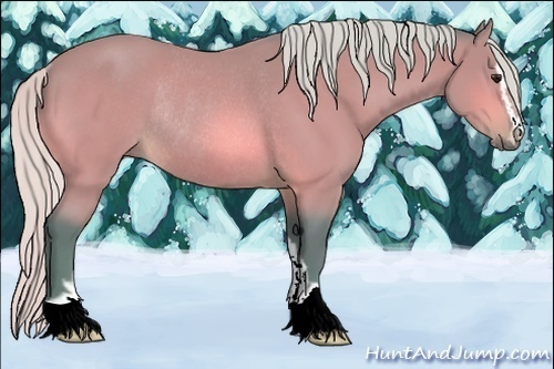 Horse Color:Watercolor Silver Bay Sabino Rabicano 