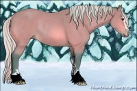 Horse Color:Watercolor Silver Bay Sabino Rabicano