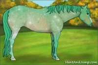 Horse Color:Watercolor Bay 