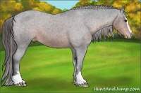 Horse Color:Brown Sabino Varnish 