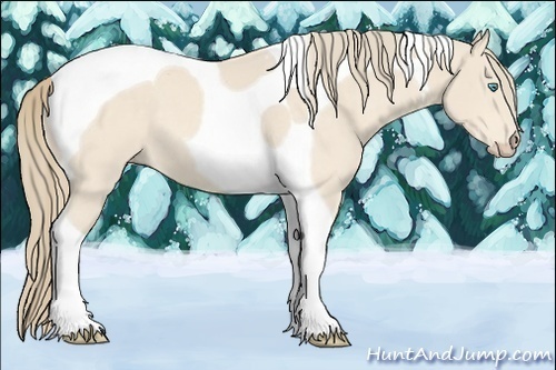 Horse Color:Perlino Tobiano 