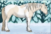 Horse Color:Perlino Tobiano