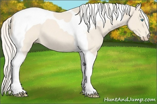 Horse Color:Cremello Roan Tobiano 