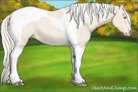 Horse Color:Cremello Roan Tobiano