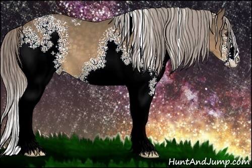 Horse Color:White Spotted Chocolate Palomino