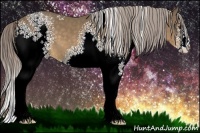 Horse Color:White Spotted Chocolate Palomino