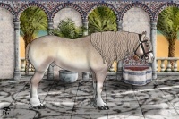 Horse Color:Palomino Roan Onyx Sabino