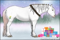 Horse Color:Watercolor Chestnut Ice Appaloosa 