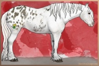 Horse Color:Watercolor Silver Bay Ice Onyx Appaloosa 