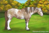 Horse Color:White Spotted Black Pearl 