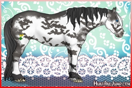 Horse Color:Black Splash Frame
