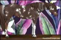 Horse Color:White Spotted Liver Chestnut Tobiano 