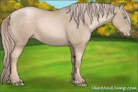Horse Color:Chocolate Palomino Pearl