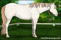 Horse Color:Buckskin Roan Pearl and Amber Cream Champagne Roan Pearl