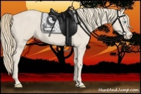 Horse Color:Smoky Creme 