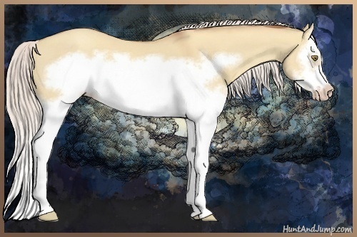 Horse Color:Silver Classic Champagne Dun Splash Frame 